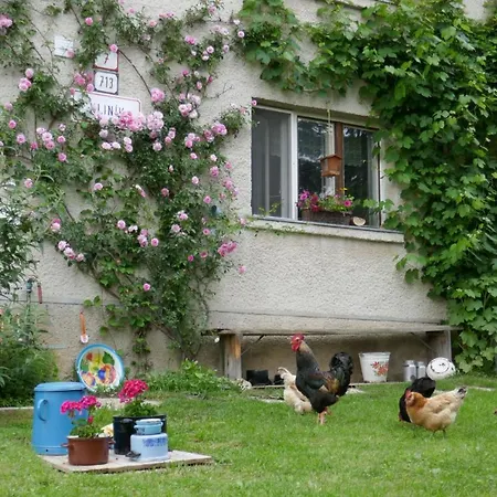 Farmer's At Sedliacky Dvor - Quarto em Acomodações Particulares Brezno