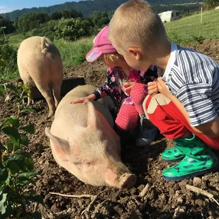 Farmer's At Sedliacky Dvor -