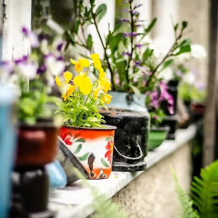 Quarto em Acomodações Particulares Farmer's At Sedliacky Dvor -