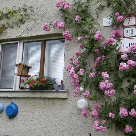 Farmer's At Sedliacky Dvor - *