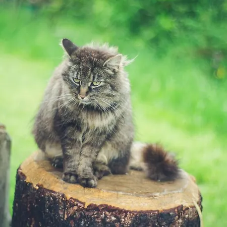 Farmer's At Sedliacky Dvor - Brezno