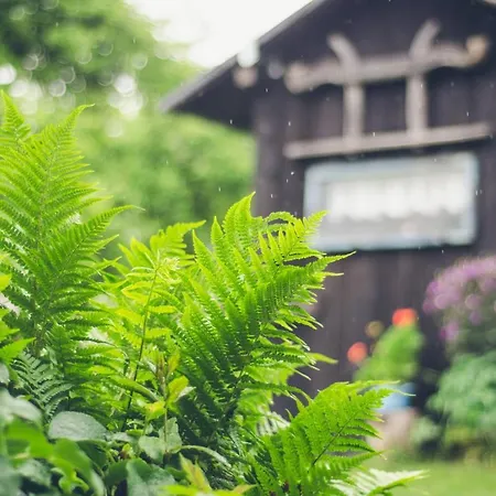 Farmer's At Sedliacky Dvor -