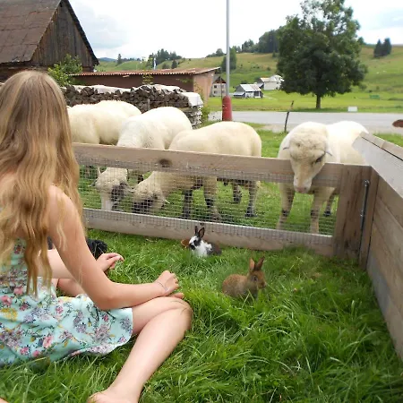 Homestay Farmer's At Sedliacky Dvor -