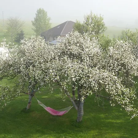 Rum i privatbostad Farmer's At Sedliacky Dvor - Brezno