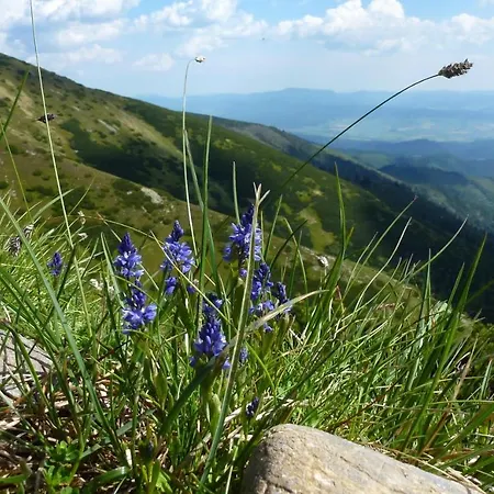 Farmer's At Sedliacky Dvor - Quarto em Acomodações Particulares *