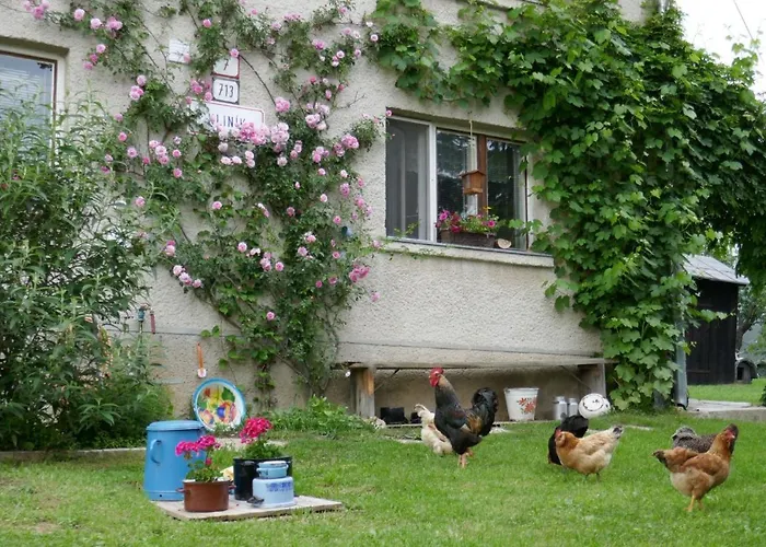 Farmer's At Sedliacky Dvor - Habitación en casa particular Brezno