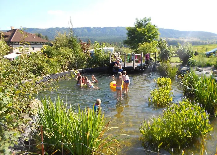 Farmer's At Sedliacky Dvor - *