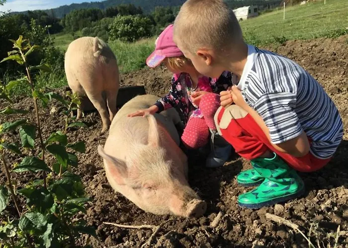 Farmer's At Sedliacky Dvor -