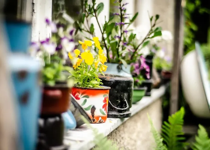 Habitación en casa particular Farmer's At Sedliacky Dvor -