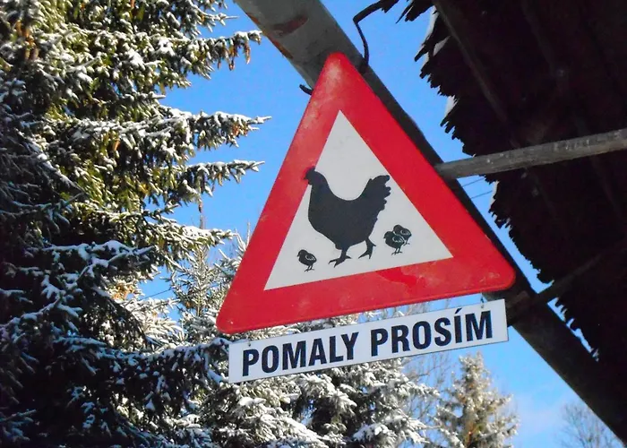 Farmer's At Sedliacky Dvor - *