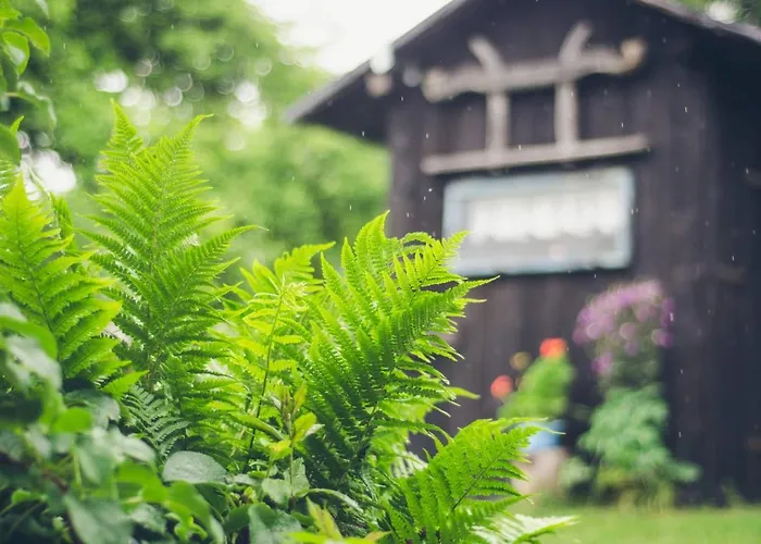 Farmer's At Sedliacky Dvor -