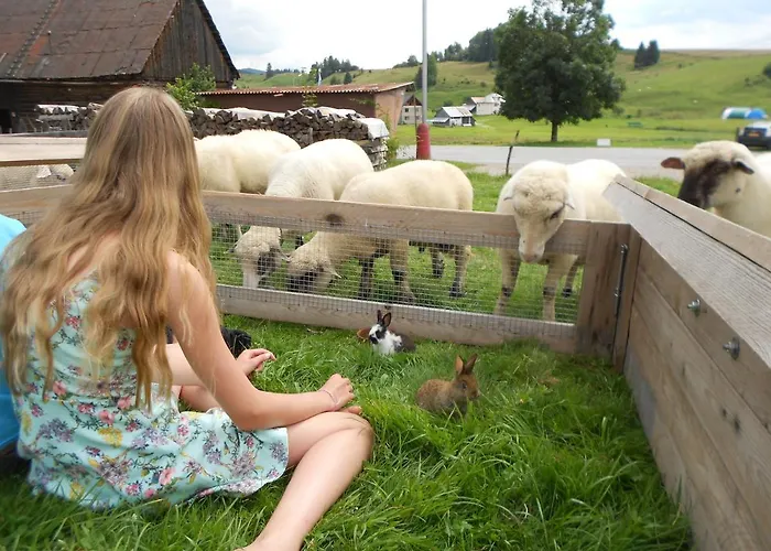 Habitación en casa particular Farmer's At Sedliacky Dvor -