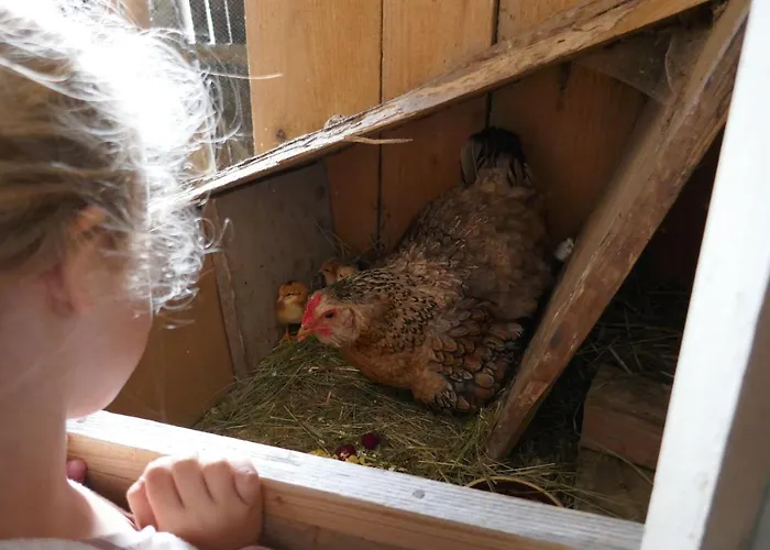 Farmer's At Sedliacky Dvor - Habitación en casa particular *