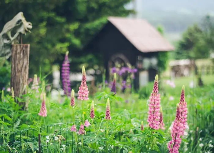 Habitación en casa particular Farmer's At Sedliacky Dvor - *
