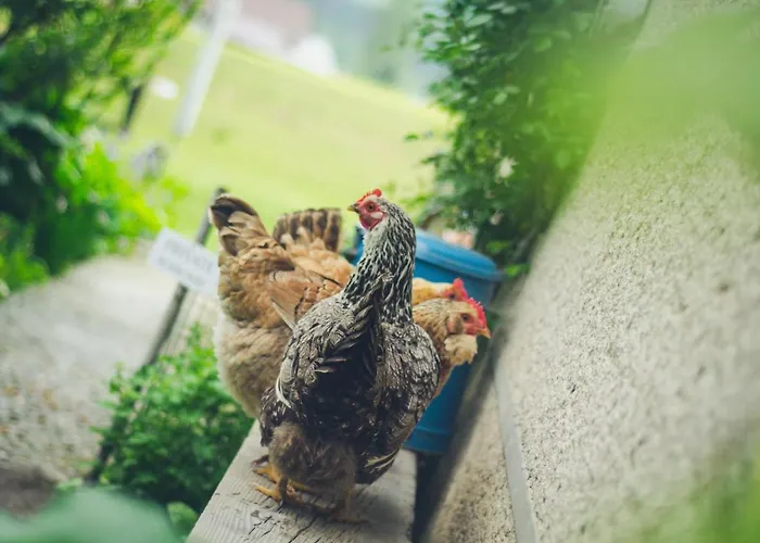 Habitación en casa particular Farmer's At Sedliacky Dvor - Brezno
