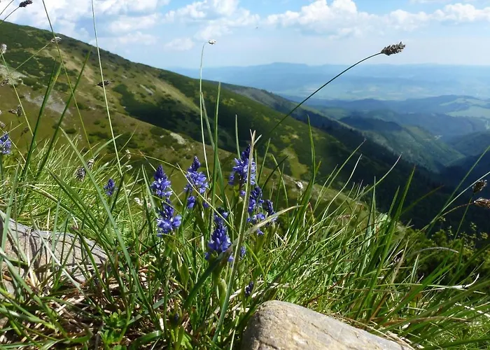 Farmer's At Sedliacky Dvor - Habitación en casa particular *